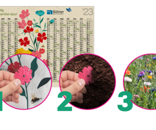 Graspapierkalender 2023 mit Blumensamen Add-On